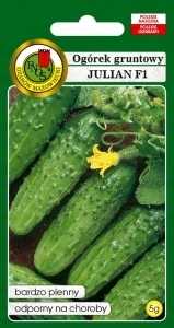 Ogórek gruntowy Julian F1 5g