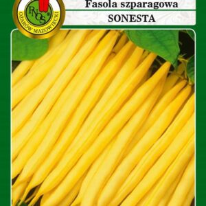 Fasola żółta karłowa SONESTA 50g
