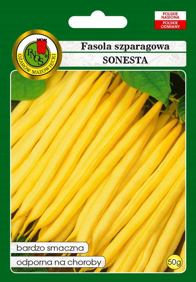Fasola żółta karłowa SONESTA 50g