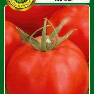 Nasiona pomidor gruntowy Atol 1 g