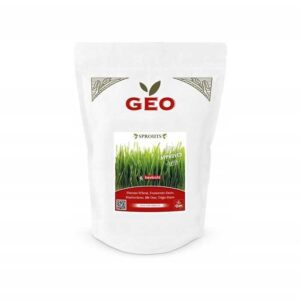 PSZENICA DURUM - NASIONA NA KIEŁKI 600G BAVICCHI