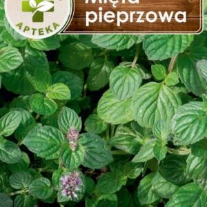 Nasiona Mięta Pieprzowa 0,2 g