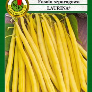 Fasola żółta karłowa LAURINA 50g