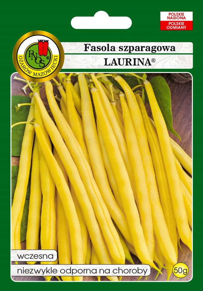 Fasola żółta karłowa LAURINA 50g