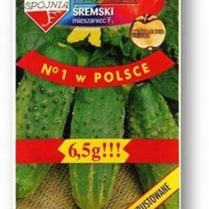 Ogórek śremski 6,5g Spójnia Nochowo