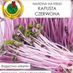 KAPUSTA CZERWONA nasiona na kiełki 8g
