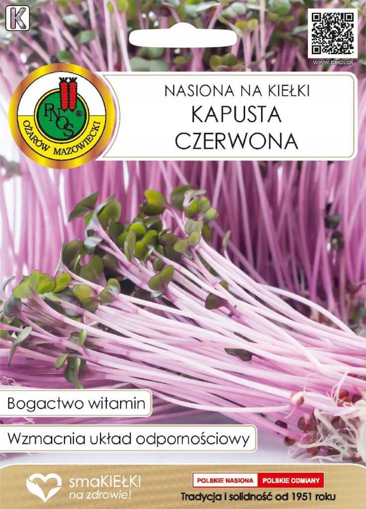 KAPUSTA CZERWONA nasiona na kiełki 8g
