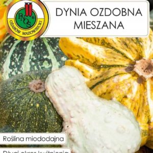 Nasiona miododajne Dynia Ozdobna Mieszana 2g