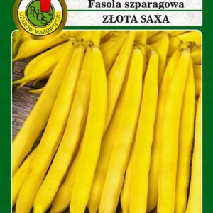 Fasola żółta karłowa ZŁOTA SAXA 30g