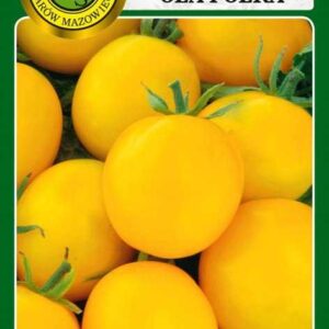 Nasiona pomidor gruntowy Ola Polka 1 g