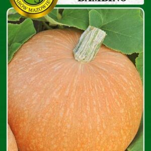 DYNIA OLBRZYMIA BAMBINO 5g