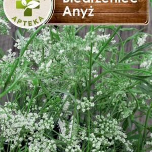Biedrzeniec anyż  0,5g