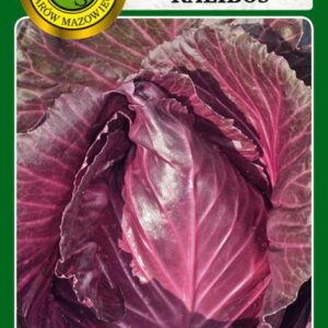 Kapusta głowiasta czerwona Kalibos