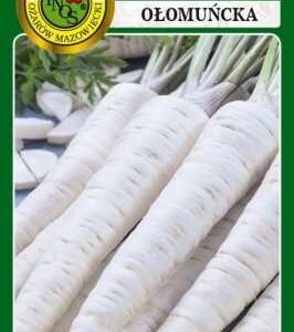 Pietruszka OŁOMUŃCKA odmiana późna