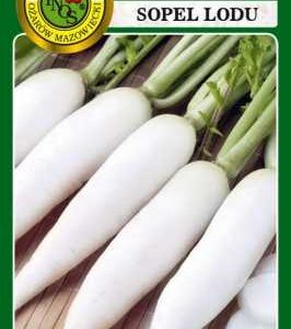 Rzodkiewka Sopel Lodu