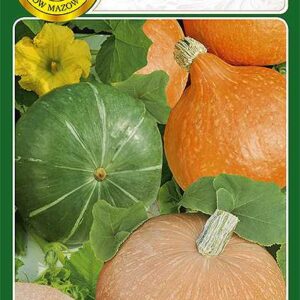 Dynia olbrymia mieszanka 6g