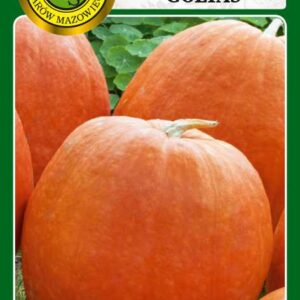 Dynia olbrzymia Golias 3g