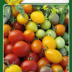 Pomidor koktajlowy mieszanka 0.9g