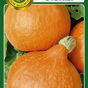 Dynia olbrzymia Dolores 5g