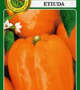 Papryka Etiuda