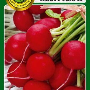 Rzodkiewka Saxa Polana