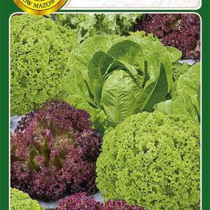 Miesznka odmian sałat 1,2g