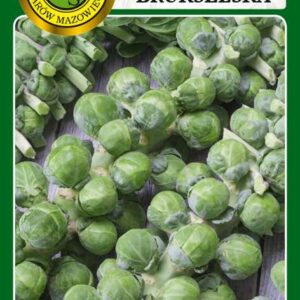 Kapusta brukselska Long Island 1g