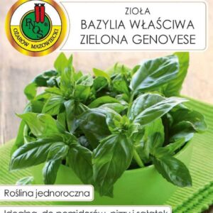 Bazylia właściwa zielona Genovese 1g