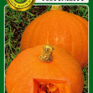 Dynia olbrzymia Justynka F1