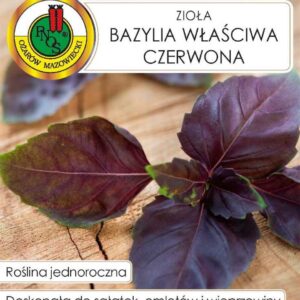 Bazylia właściwa czerwona 0,3g