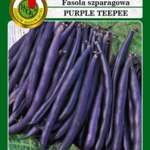 Fasola szparagowa PURPLE TEEPEE 30g