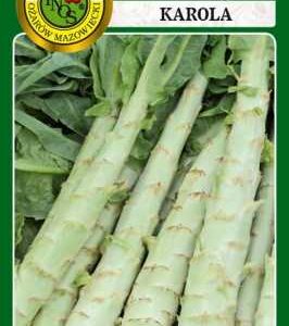 SAŁATA ŁODYGOWA KAROLA 0,5G