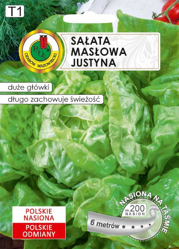 Sałata głowiasta masłowa Justyna 1g