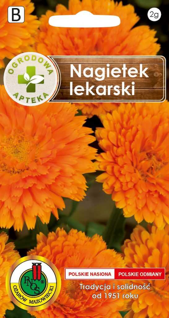 Nagietek lekarski 2g