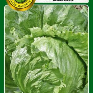 Sałata głowiasta krucha Beata 1g