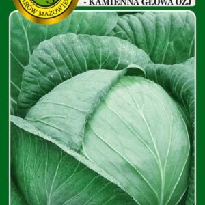 Kapusta głowiasta biała Kamienna Głowa