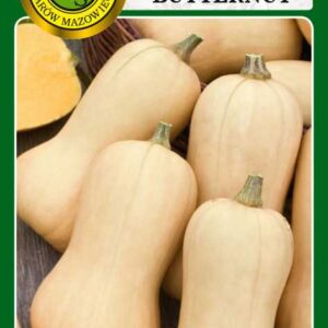 Dynia piżmowa Butternut 3g