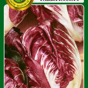 Cykoria liściowa Palla Rossa 3 0,5g