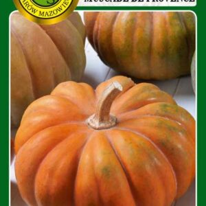 Dynia piżmowa Muscade de Provence 3g