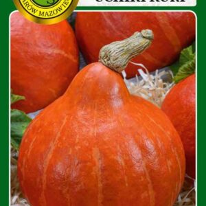 Dynia olbrzymia Uchiki Kuri 3g