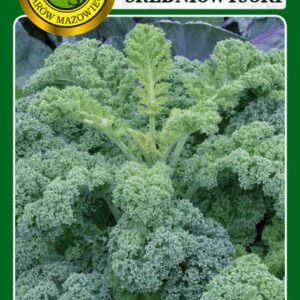 Jarmuż średniowysoki Halbhoher Gruner Krauser  5g