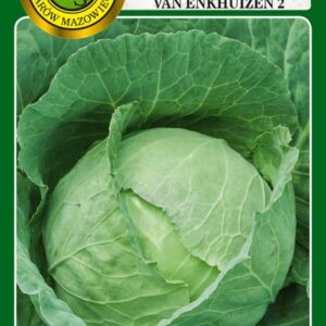 Kapusta głowiasta biała Roem Van Enkhuizen 2