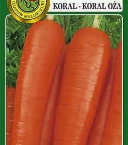 Marchew Jadalna Koral