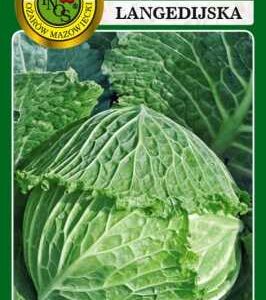 KAPUSTA WŁOSKA LANGEDIJSKA 2G