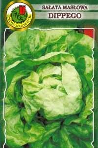 Sałata głowiasta masłowa Dippego 1g