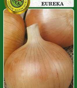 Cebula Eureka