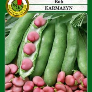 Bób KARMAZYN odmiana średnio wczesna