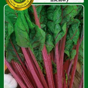 Burak liściowy Rhubarb Chard 3g