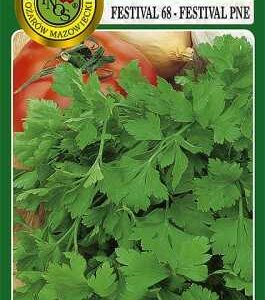 Pietruszka naciowa Festival