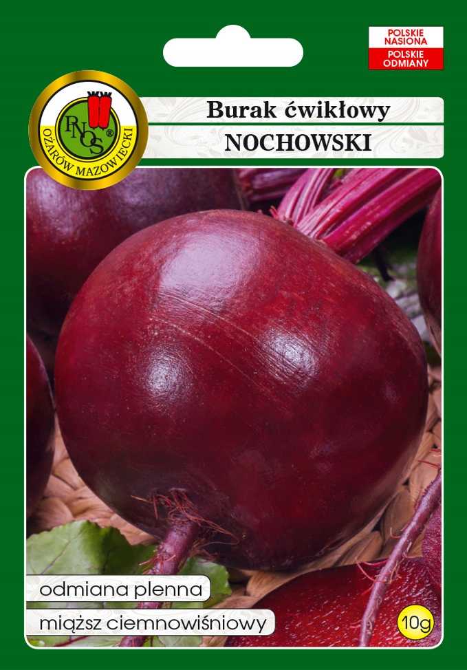 Burak ćwikłowy Nochowski 10g